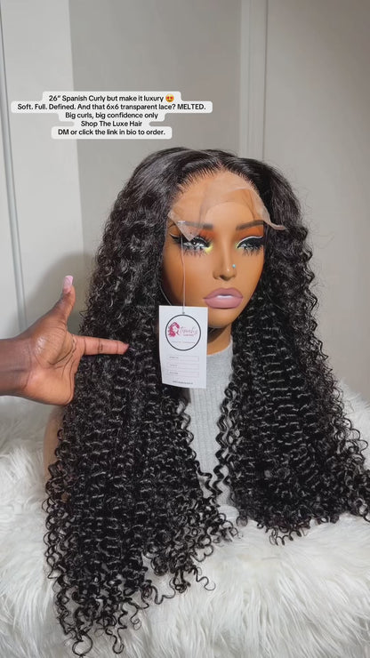 Spanish curly SDD